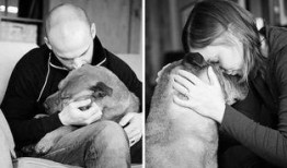 亲昵 在线观看,亲昵在线观看，浪漫情感尽收眼底